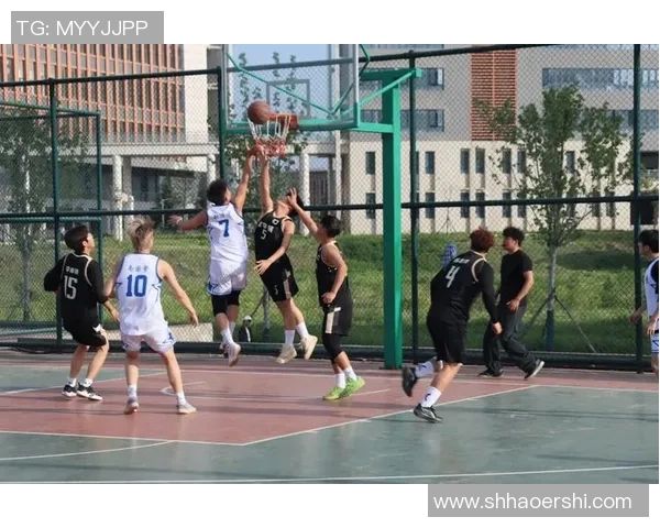 回浦中学篮球队的奋斗与成长之路展现青春热血与团队精神