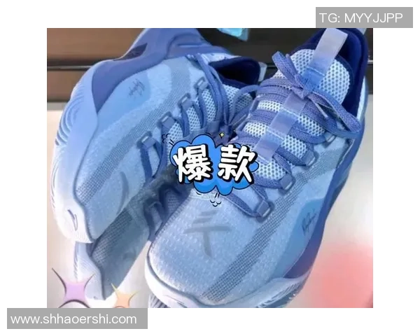 安踏篮球鞋在羽毛球场上的表现与适用性分析