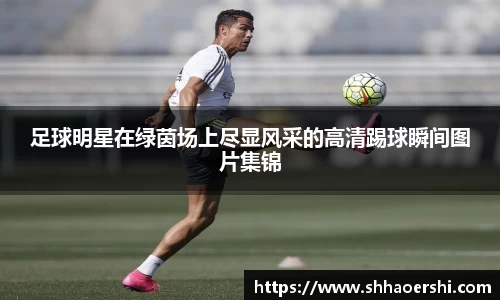 足球明星在绿茵场上尽显风采的高清踢球瞬间图片集锦